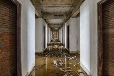 Moisture Removal Service in Gilbert, AZ