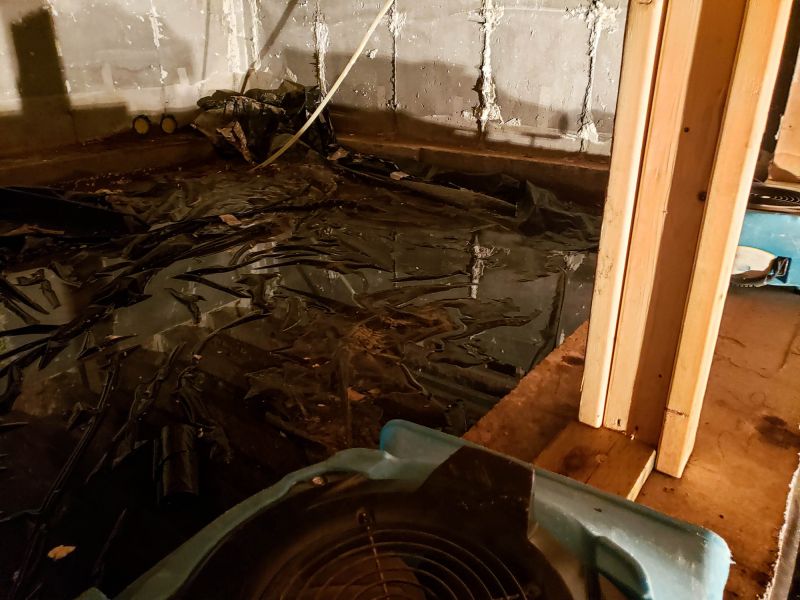Basement Water Removal in Phoenix, AZ